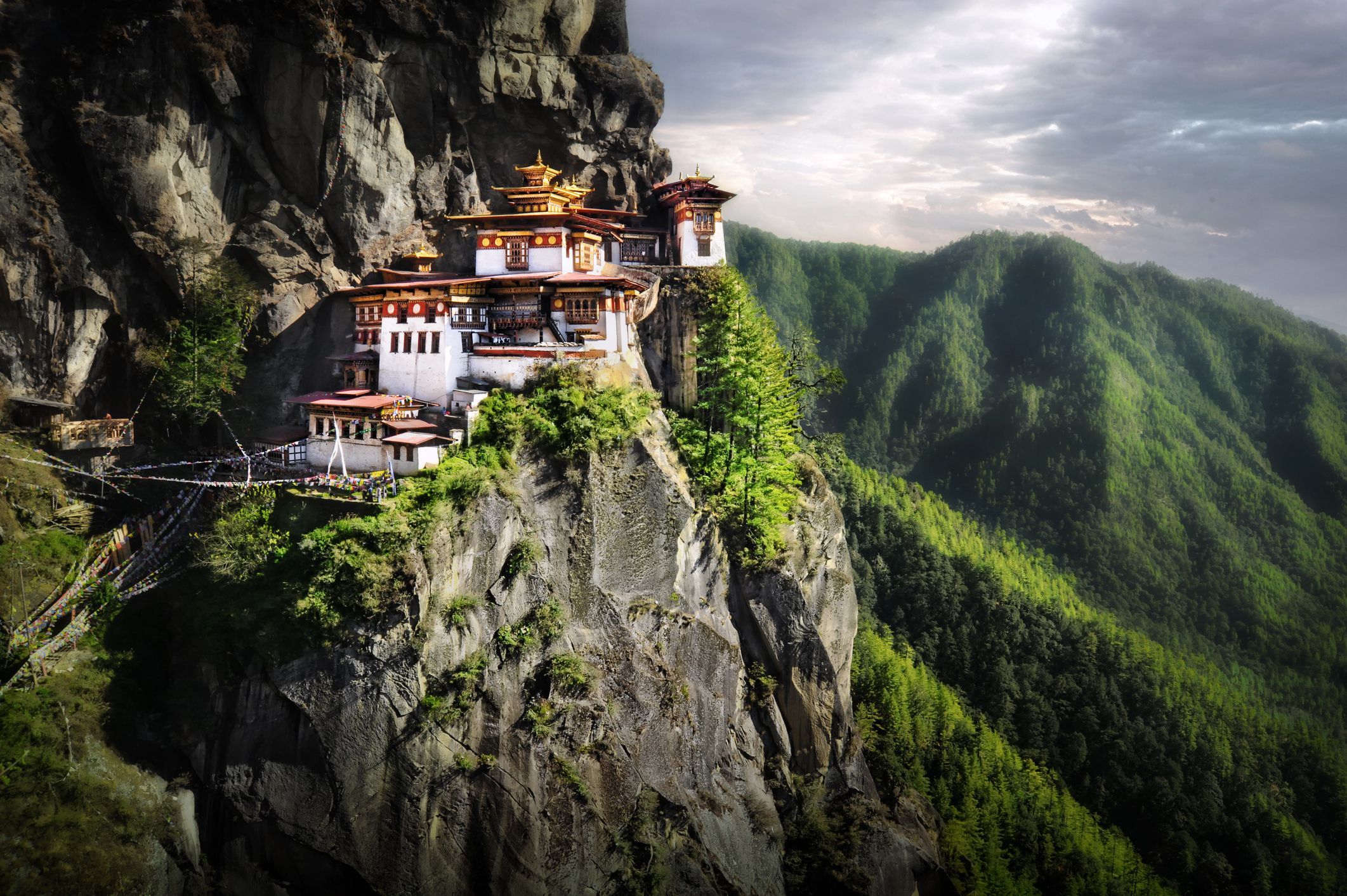 DMC Bhutan